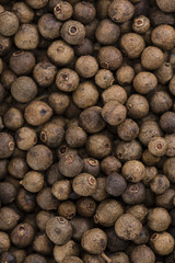 Allspice (background image)