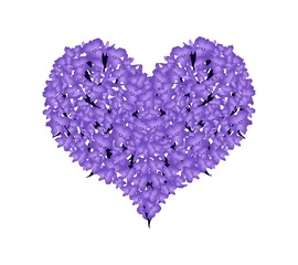 Beautiful Violet Lavender in A Heart Shape