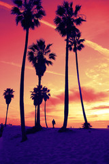 Venice Beach Sunset vintage retro cross processed colors. Tropical summer vacation and travel concept