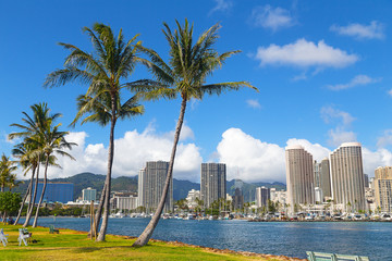 Waikiki beach resort and marina in Honolulu, Hawaii, USA. Scenic view of the Waikiki resort and marina with tall palms.