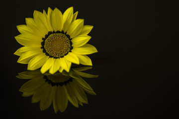 Kapunda Reservoir Water Tower at the Pines Conservation Park Reserve, Kapunda, South Australia