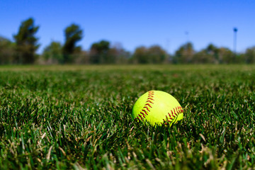 Softball at a Field in California