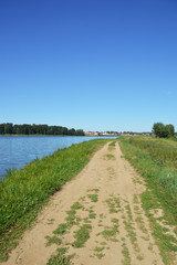 Fototapeta na wymiar Летний пейзаж с просёлочной дорогой, идущей вдоль берега водоёма