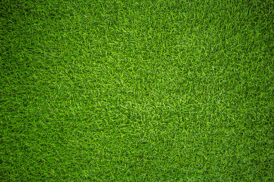 artificial grass © ruangrit19