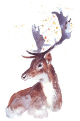Boże Narodzenie akwarela jelenia Ręcznie malowane ilustracji - 101780732