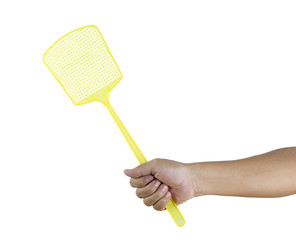 hand holding flyswatter