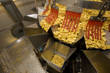 Tortellini Pasta production line, packaging machinery