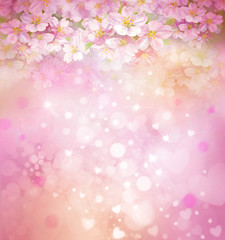 Blossoming sakura tree, floral, spring, bokeh background.