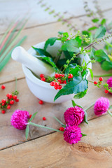 Fototapeta na wymiar Fresh herbs in the mortar, alternative medicine