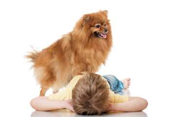 Little boy with two dog spitz, isolated on white background