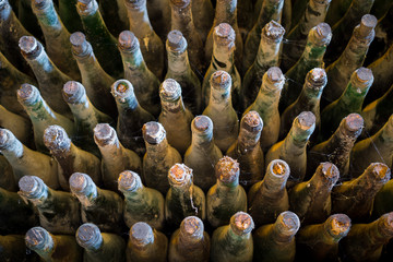 Many old wine bottles top view