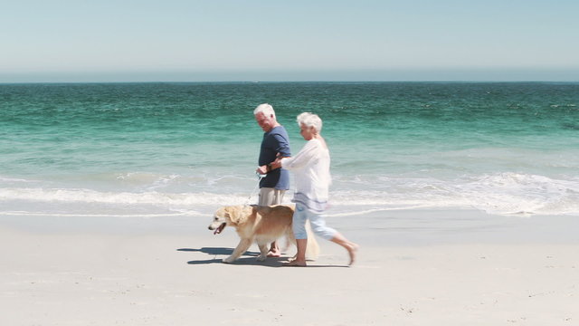Old retired couple with dog