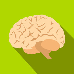 Human brain flat icon with shadow 