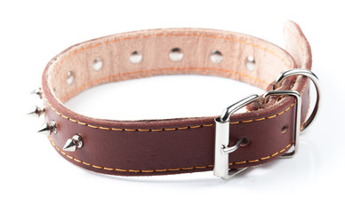 brown leather collar with rivets on white background