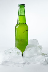 beer bottle in the ice