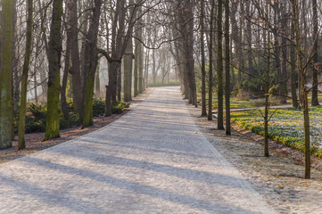 Fototapeta na wymiar The stone path in the park, the road from the bricks in the city park