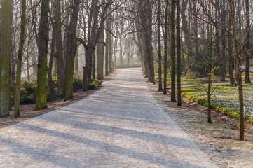 The stone path in the park, the road from the bricks in the city park