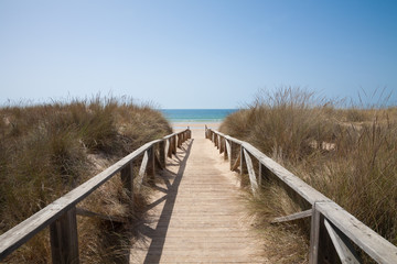 wooden path to sea horizontal