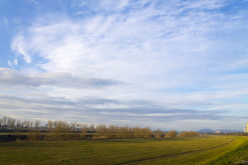 Fototapeta premium Landscape of a meadow near river Sava in Zagreb