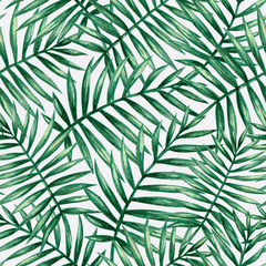 Naklejki  Akwarela tropikalna palma pozostawia wzór. Ilustracja wektorowa.