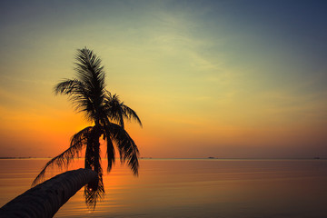Fototapeta na wymiar Silhouette of palm tree with beatuful sunset on koh pangan