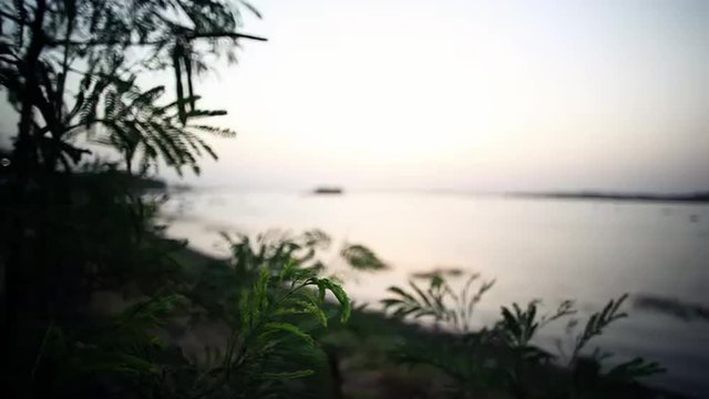 Rack focus shot of a lake at dusk, Bhopal, Madhya Pradesh, India