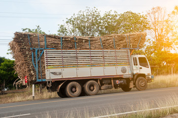 Truck with Sugar cane at Mauritius.
