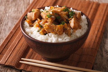 Homemade oyakodon and rice close-up in a bowl. horizontal
