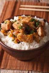 Japanese cuisine: oyakodon with rice in a bowl close up. Vertical
