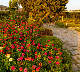 olf colors  garden in pamukkale turkey trees and flower and the