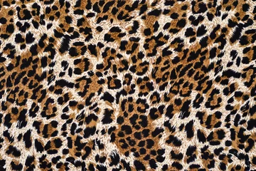 Selbstklebende Fototapeten texture of print fabric striped leopard © photos777