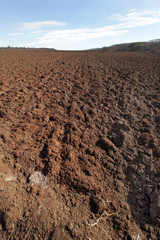 Plowed field before planting.