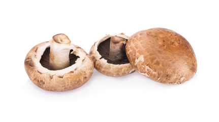 portobello mushrooms isolated on white background