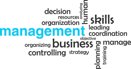 word cloud - management