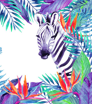 Tropical jungle card. Floral design with zebra on white background.