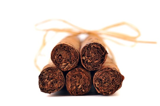 Cigar and tobacco leaf  