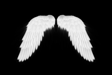 Obraz na płótnie Canvas The white wings on black background