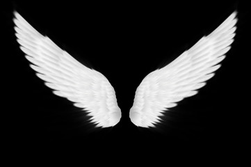 Fototapeta na wymiar The white wings on black background