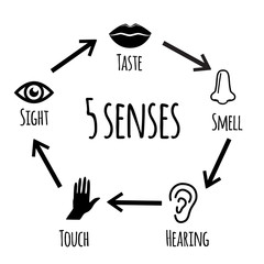 Five senses - vector icon set.