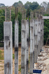 Reinforced concrete pillars Forest.