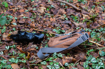 Handtasche und Schuhe im Wald
