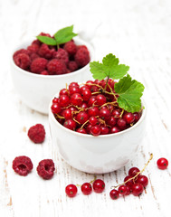fresh red currant and raspberries