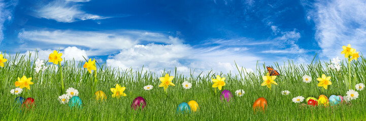 colorful easter meadow with easter eggs on blue sky