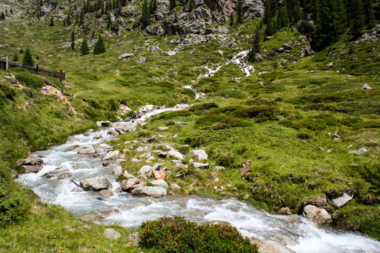 Mountain Creek. Alpine view
