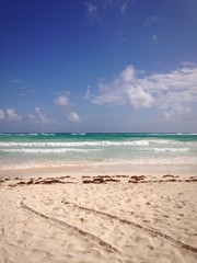 Fototapeta na wymiar spiaggia caraibica 