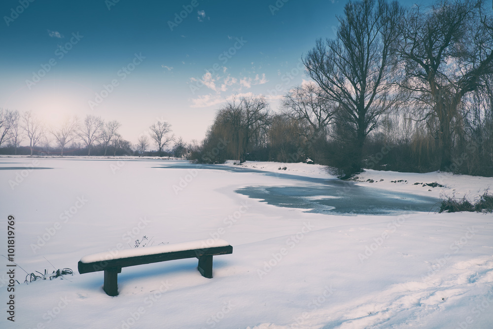 Wall mural winter frozen lake