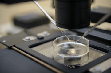 Laboratory Microscope. Scientific and healthcare research backgr