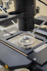 Laboratory Microscope. Scientific and healthcare research backgr