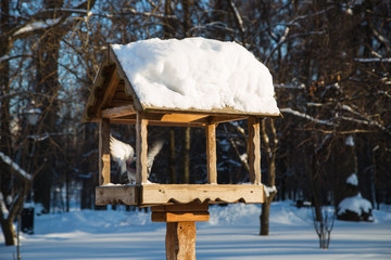 Кормушка для птиц зимой в парке Царицыно