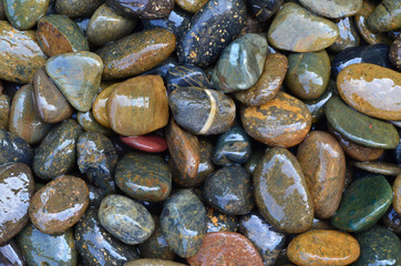 Fototapeta na wymiar Wet Pebble Stone